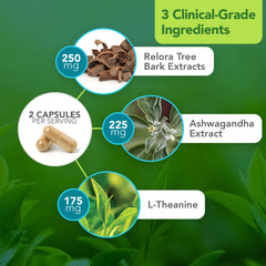 Vital Plan HPA Balance Sensoril Ashwagandha high-potency adaptogen