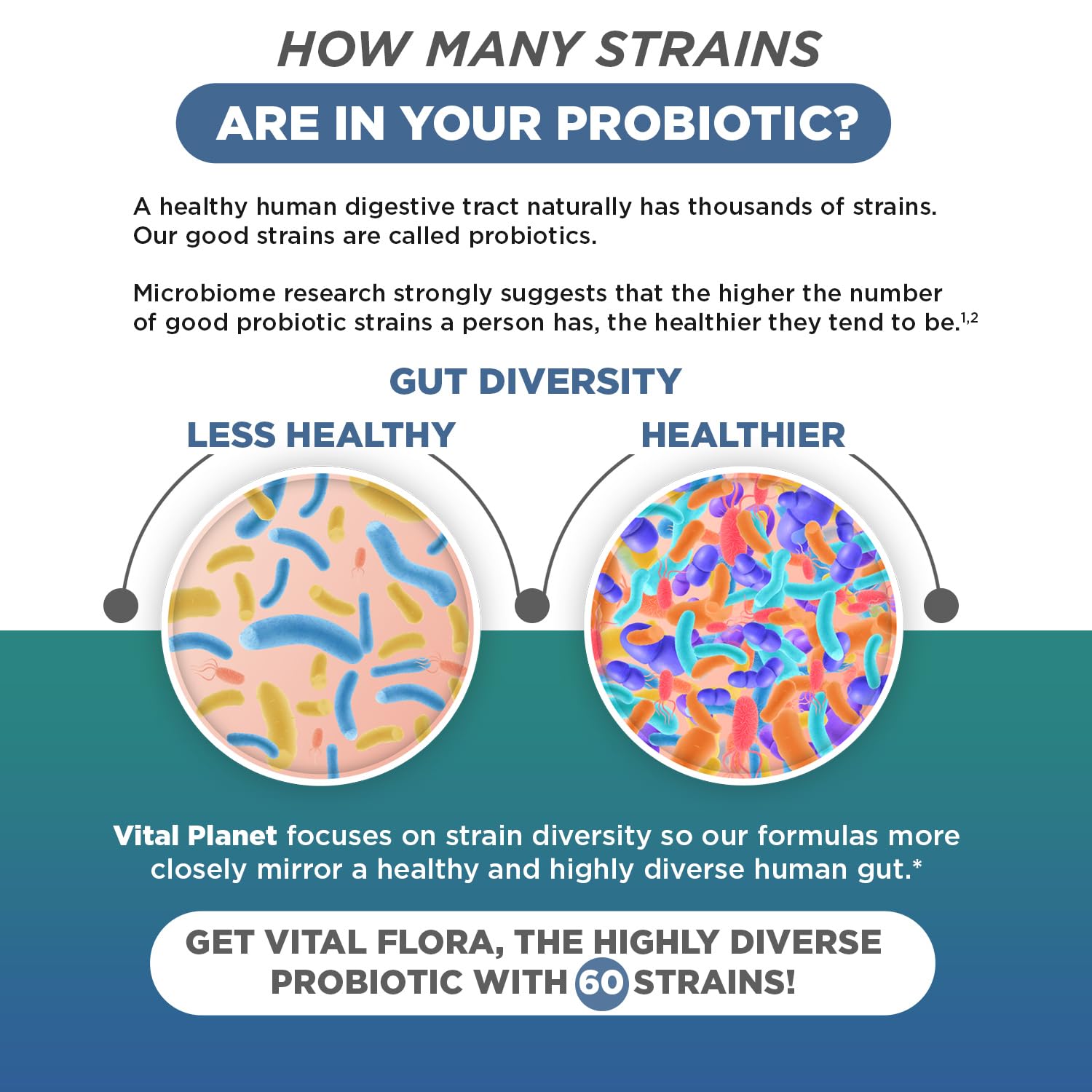 Vital Planet packaging highlights immune and digestive support.