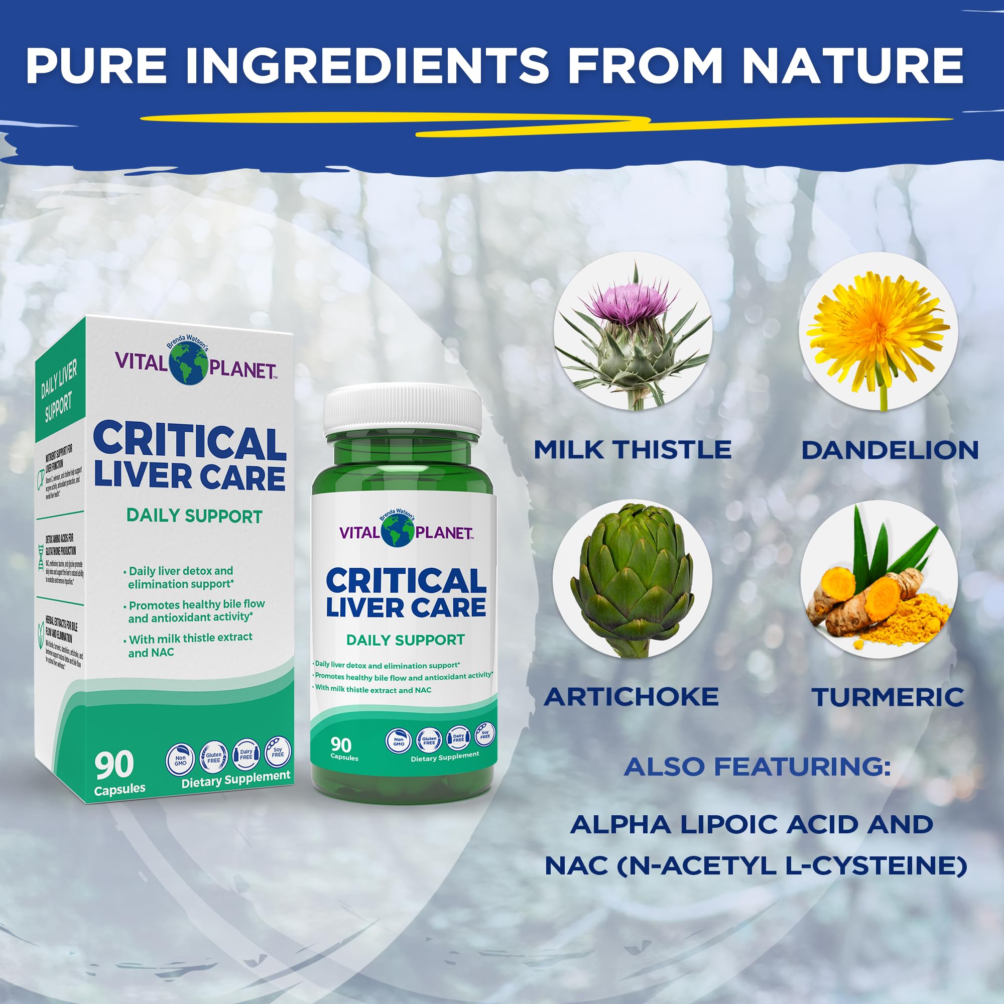 Vital Planet Liver Care ingredients like NAC and milk thistle showcased for daily support