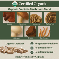 Vital Planet Organic Flora Probiotics box packaging suggests trusted quality and vegan, gluten-free formulation.