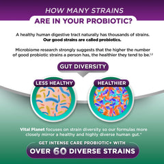 Vital Planet postbiotic parabiotic complex emphasizes metabolite-rich components for microbiome support
