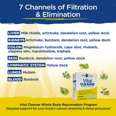 Vital Planet Vital Cleanse ingredients including milk thistle and cape aloe