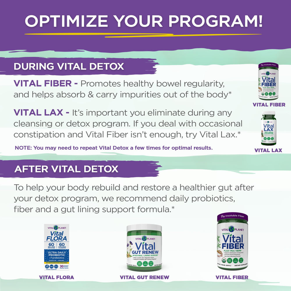 Vital Detox ingredient set includes artichoke in the formula for liver and gut support