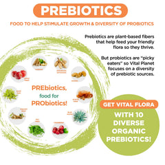 Vital Planet Vital Flora Advanced Biome Probiotic visual emphasizes digestive balance support.