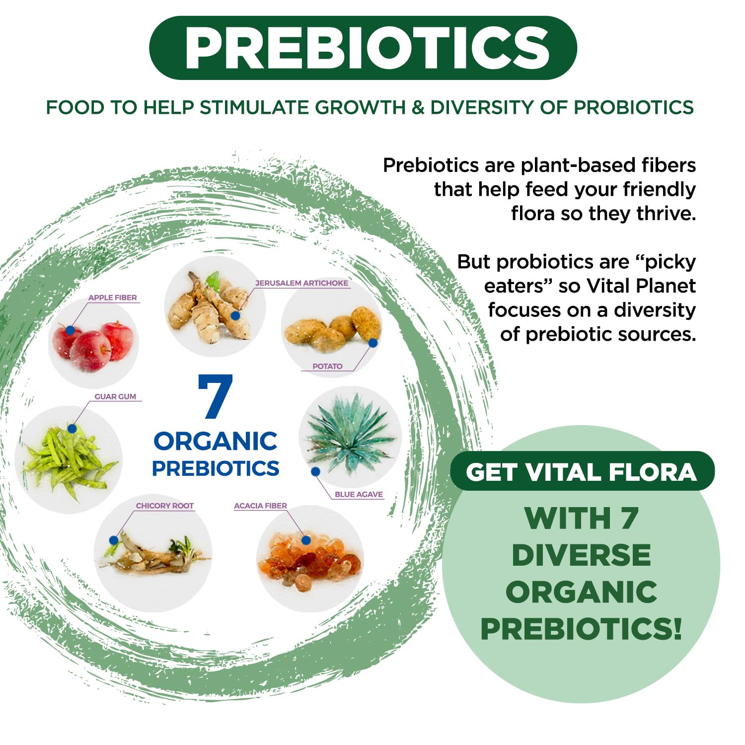 Vital Planet Vital Flora delayed-release capsules protect acidity to reach gut.