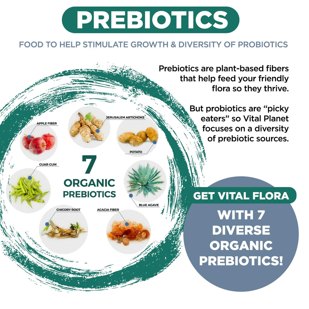 Vital Flora delayed-release capsules may help probiotics reach the gut.