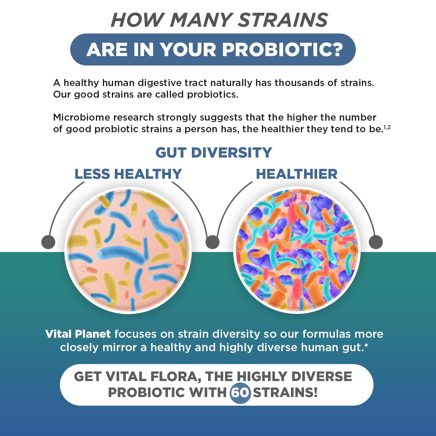 Lifestyle scene with Vital Flora Immune Biome promotes daily gut comfort.