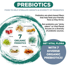 Bottle label highlights 7 organic mushrooms and 7 prebiotics.