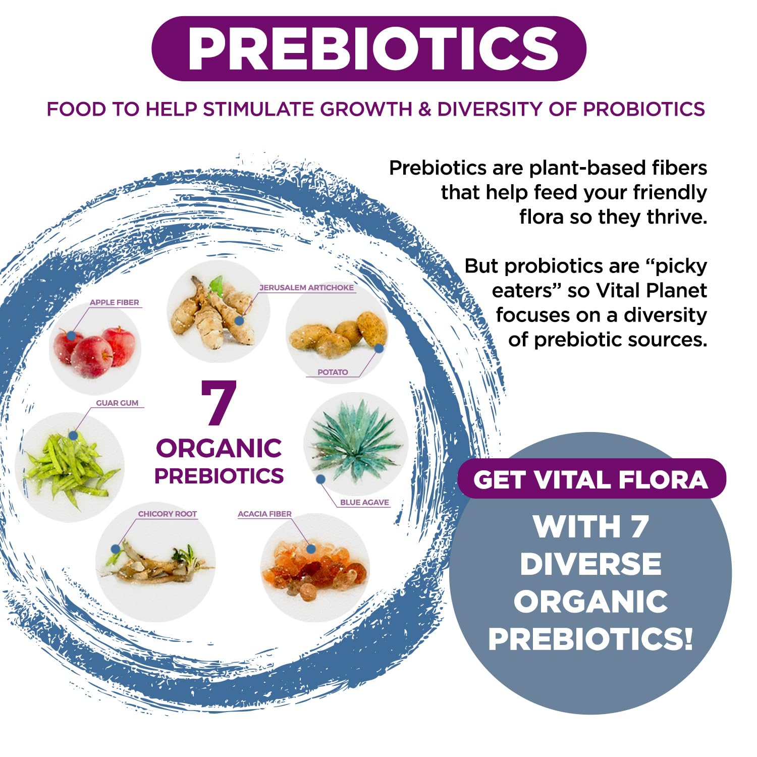 Vital Flora seven organic prebiotics feed probiotics for gut health.