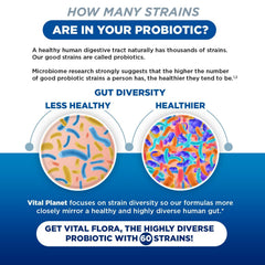 Vital Planet Vital Flora shelf-stable packaging for convenient probiotic everyday use.