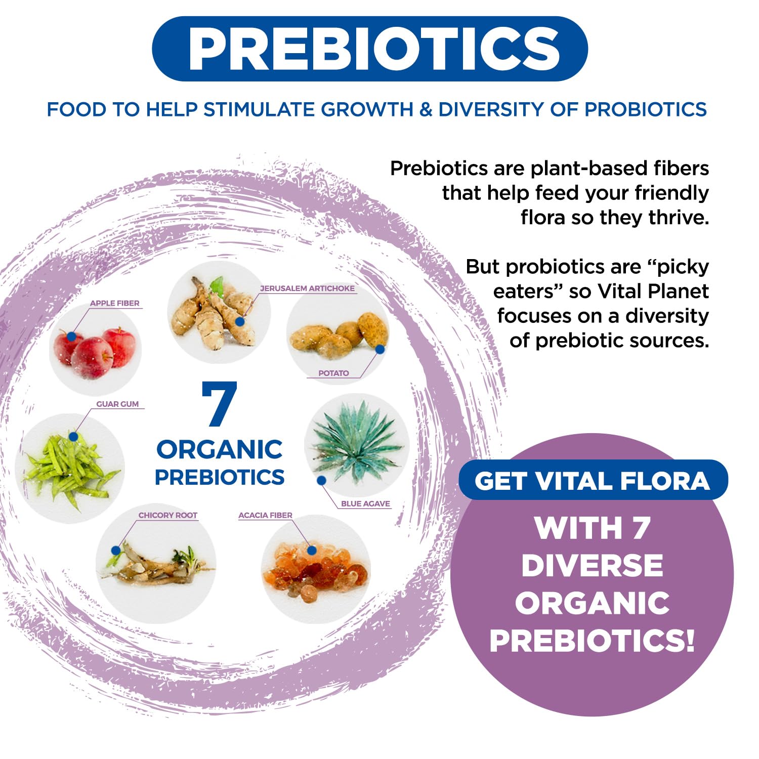 Vital Flora Women’s Daily on a shelf, signaling everyday probiotic routine