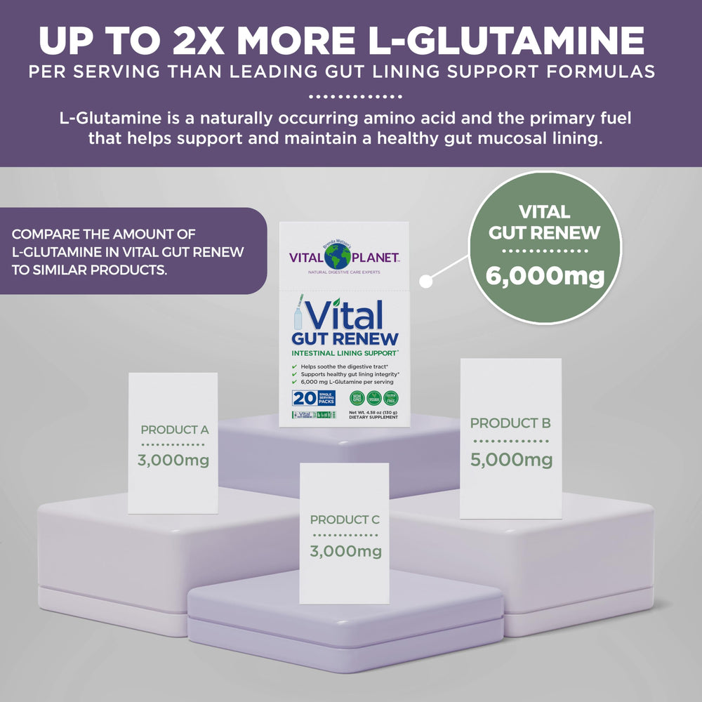 Vital Gut Renew powder dissolving easily in water for quick daily use