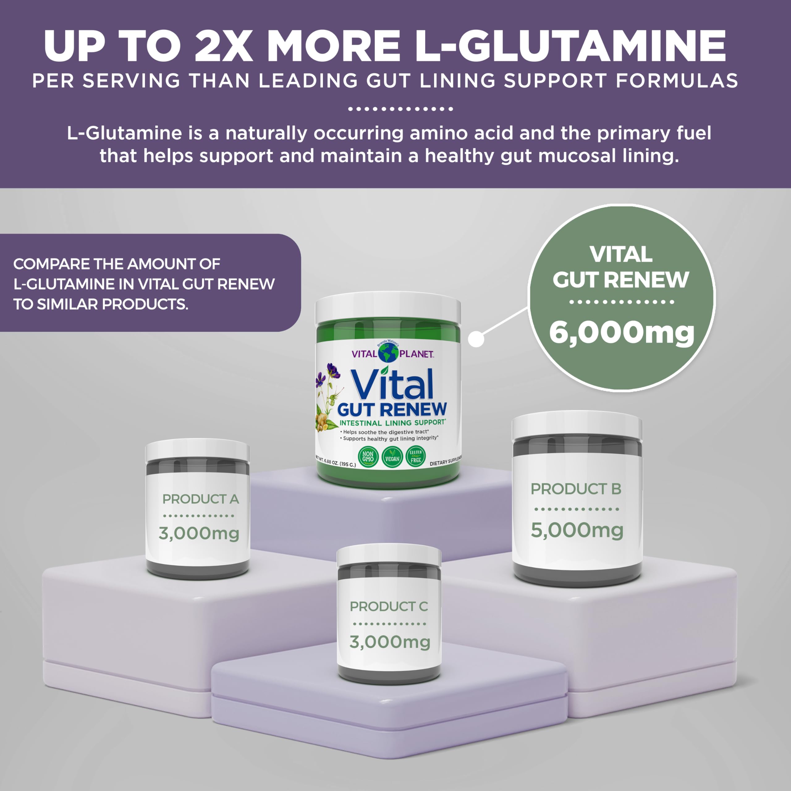 Vital Gut Renew packaging displayed on a kitchen shelf.