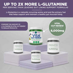 Vital Gut Renew packaging displayed on a kitchen shelf.