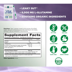 Vital Gut Renew scoop mixing powder in water for daily digestive care