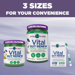 Vital Planet Vital Gut Renew single-serve pack ready for on-the-go use