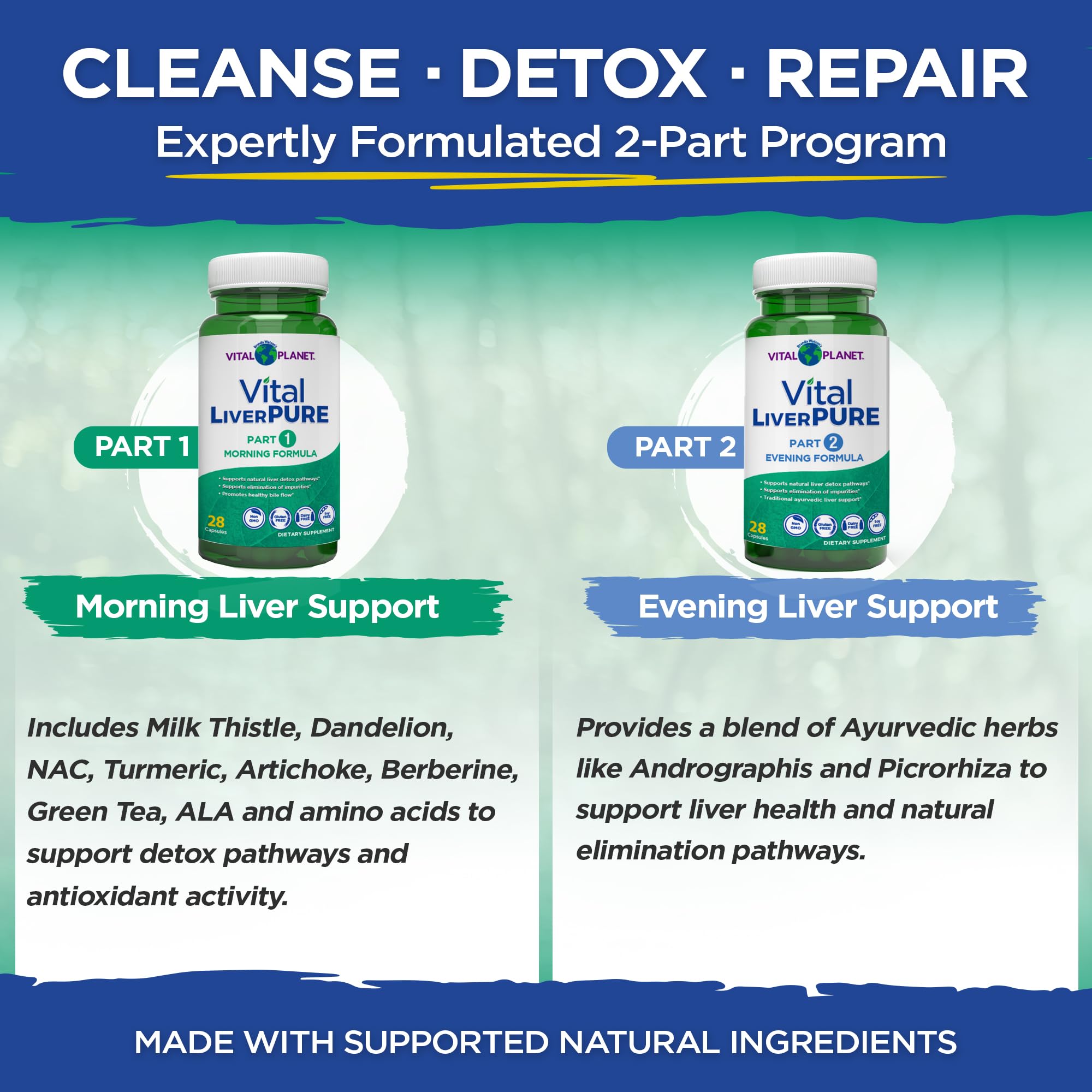 Daily routine scene with capsules, suggesting an easy 14-day regimen.