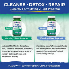 Daily routine scene with capsules, suggesting an easy 14-day regimen.
