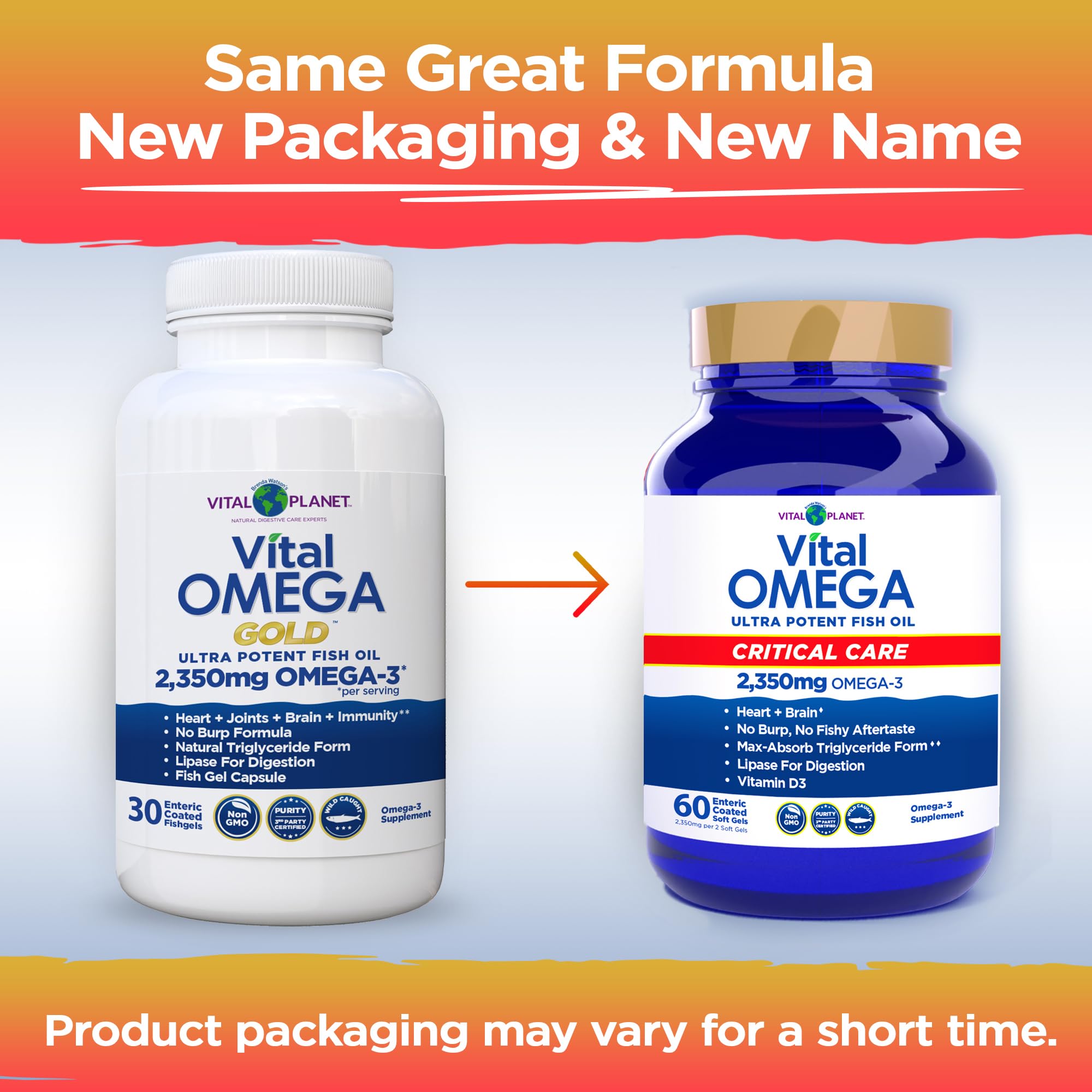 Digestive enzymes presentation highlights lipase-assisted absorption for Vital Omega Critical Care