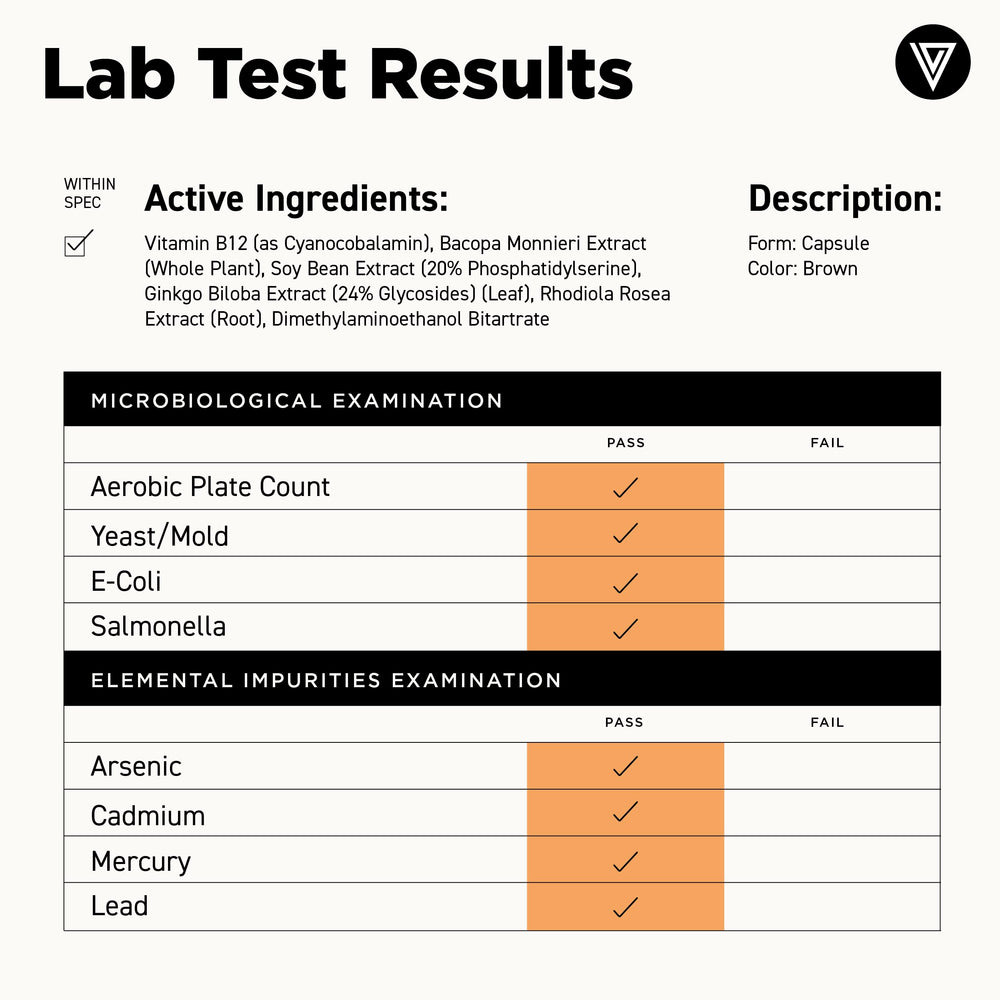Vital Vitamins study-desk scene supports late-night focus.