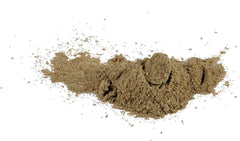 Vitalité Now mushrooms superfood visual illustrating natural immune support ingredients.