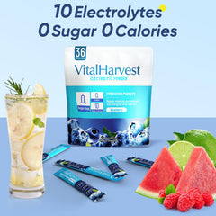 VitalHarvest compact packaging on kitchen counter highlights convenience