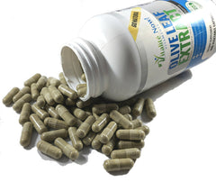 Vitalité Now oleuropein 20 percent detail on the product label.