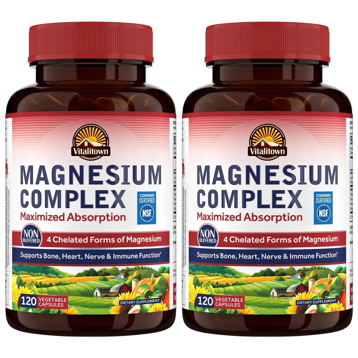 Vitalitown Magnesium Complex bottle front highlighting four chelated forms for absorption