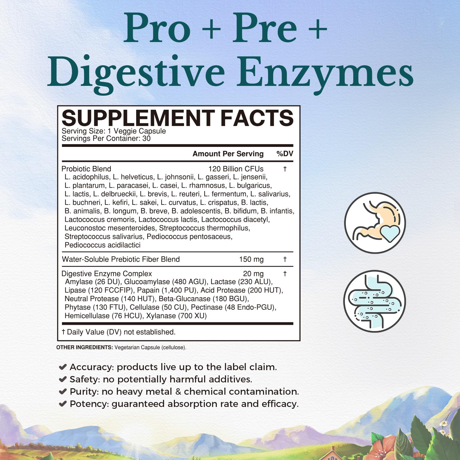 Vitalitown Probiotics 36 Strains bottle supports a balanced gut microbiome.