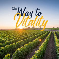 Vitalitown Probiotics Made in USA badge signals quality assurance.