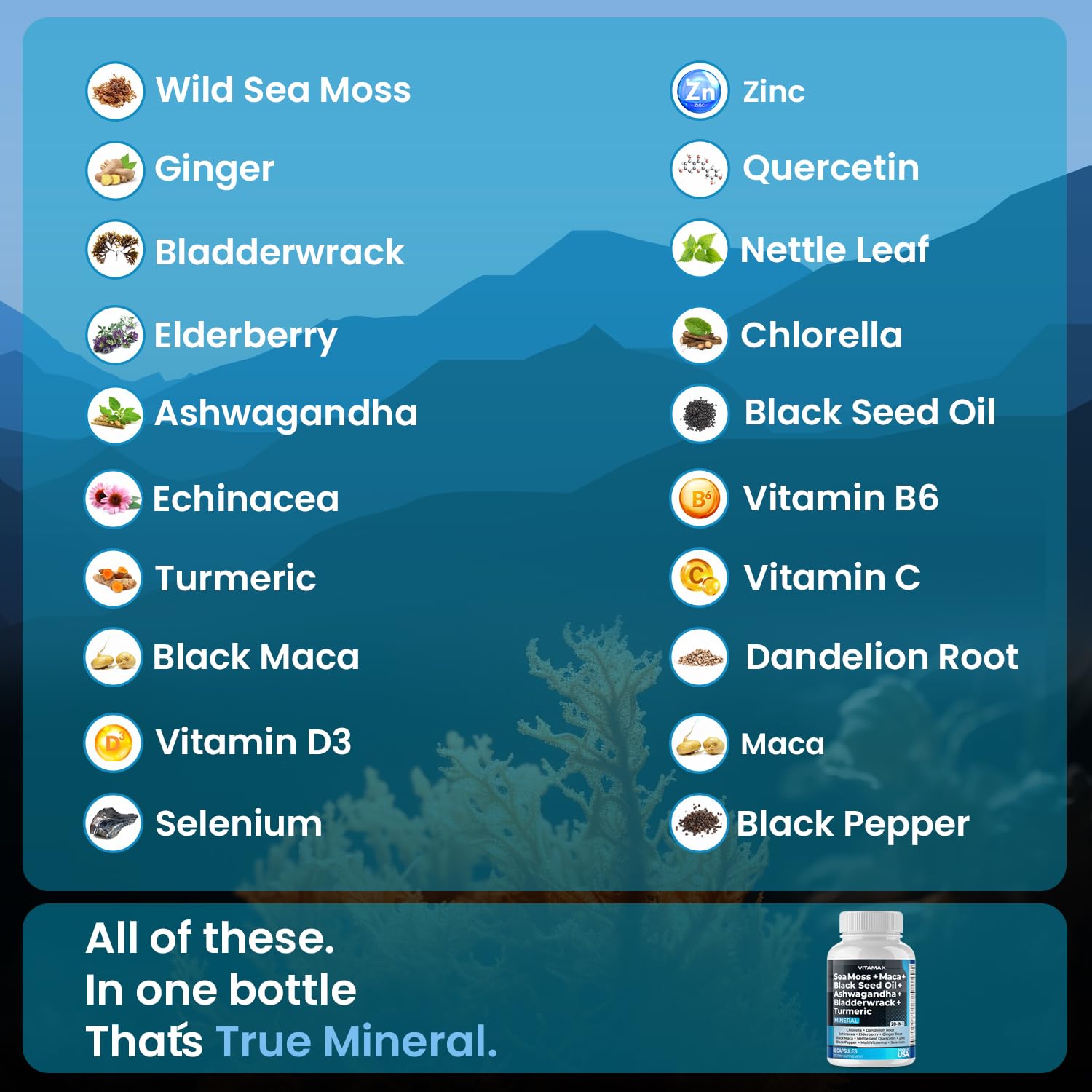 Vitamax Black Seed Oil capsules bottle provides natural oil blend for daily use.