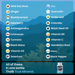 Vitamax Black Seed Oil capsules bottle provides natural oil blend for daily use.