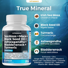 Vitamax Bladderwrack seaweed capsules bottle offers mineral-rich sea vegetables in capsules.