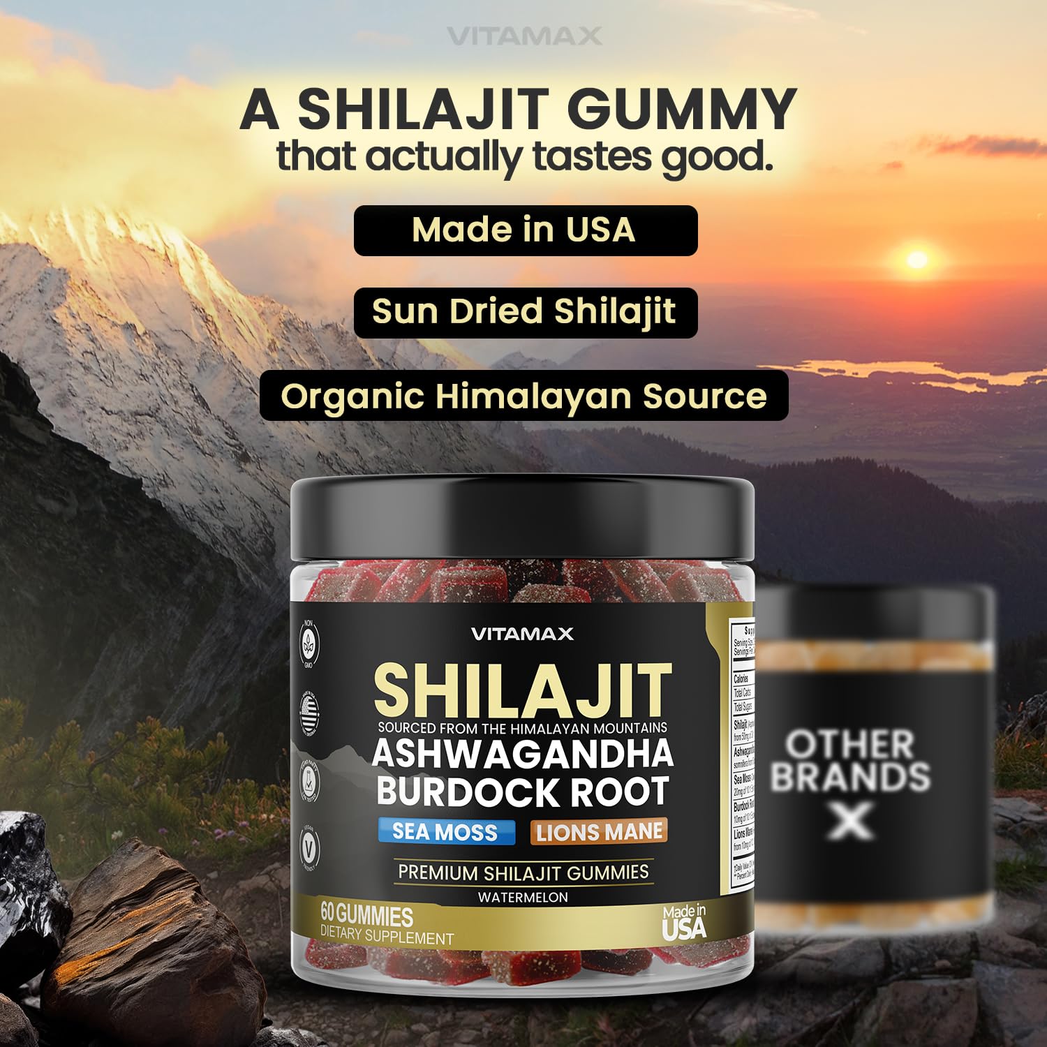 Vitamax Burdock Root and Lions Mane gummies bottle for endurance support