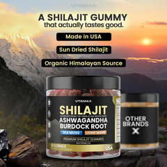 Vitamax Burdock Root and Lions Mane gummies bottle for endurance support