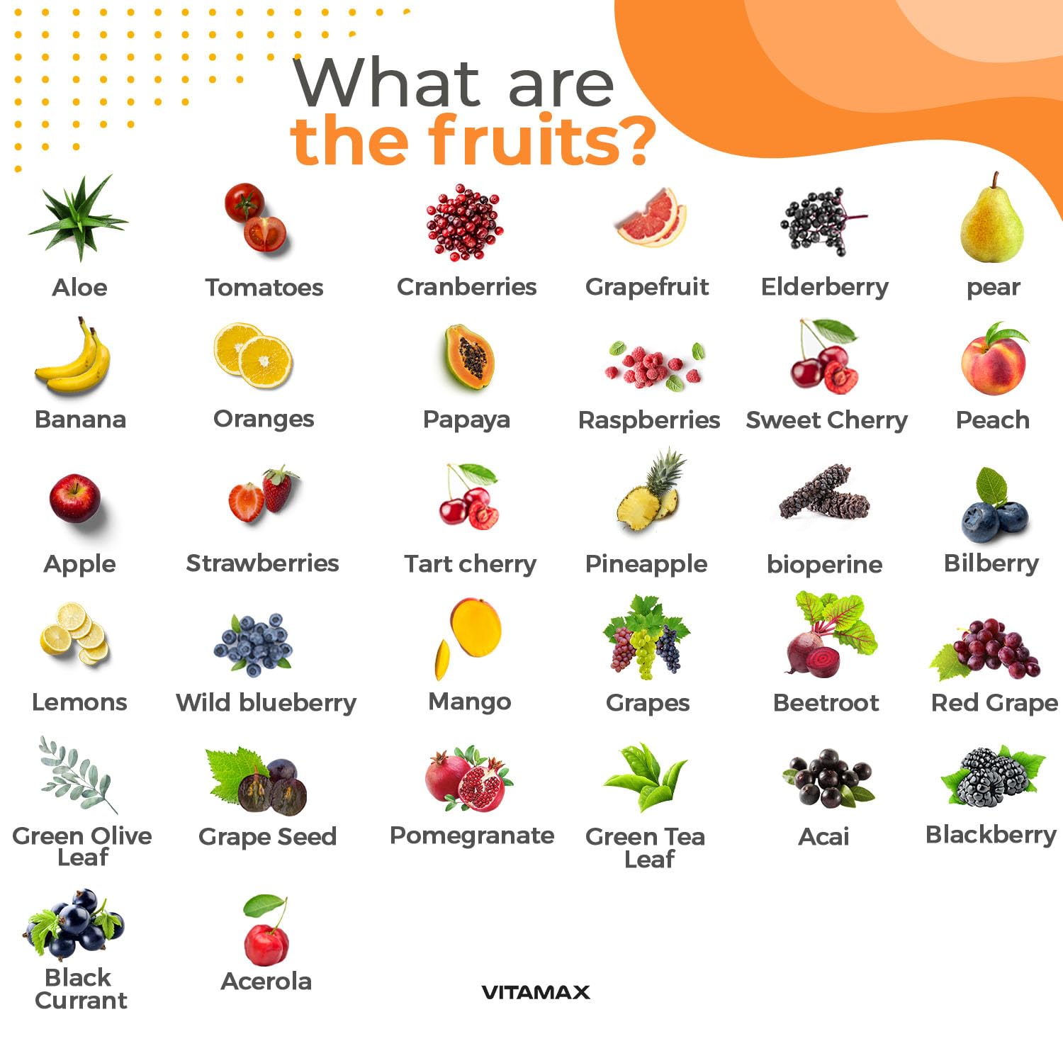 Vitamax fruit capsules closeup highlighting fruit-based nutrients for daily support