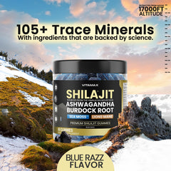 Vitamax Shilajit Gummies packaging seal highlighting purity and potency