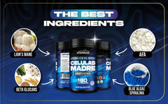 VITAMISAN immune-defense jar highlights immune support and antioxidant benefits.