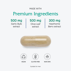 Vitanica VasoBlend capsules in hand showing vegan formula