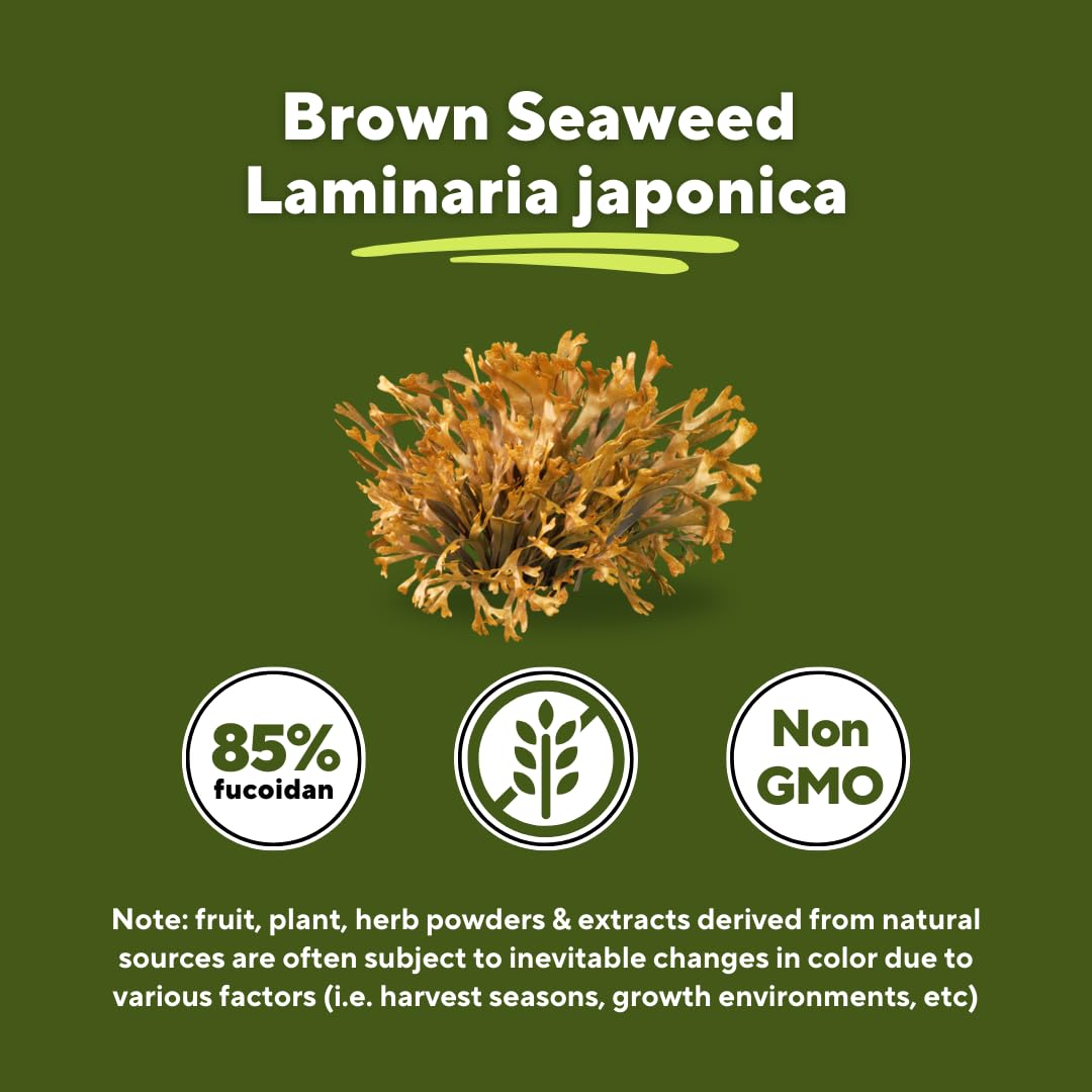 Sustainably sourced fucoidan ingredient from Vitapia supporting purity and ethics.