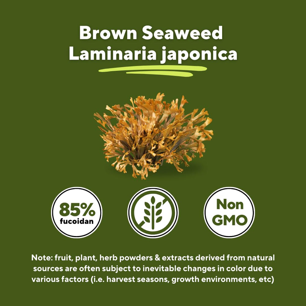 Sustainably sourced fucoidan ingredient from Vitapia supporting purity and ethics.