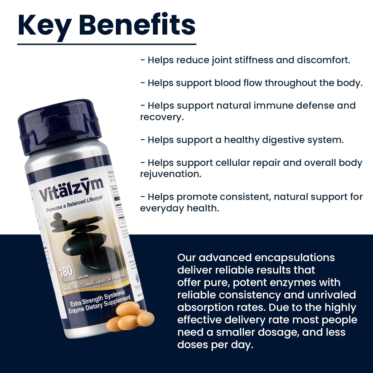 Vitalzym ingredients Serrapeptase and Bromelain illustrated