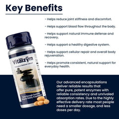 Vitalzym ingredients Serrapeptase and Bromelain illustrated