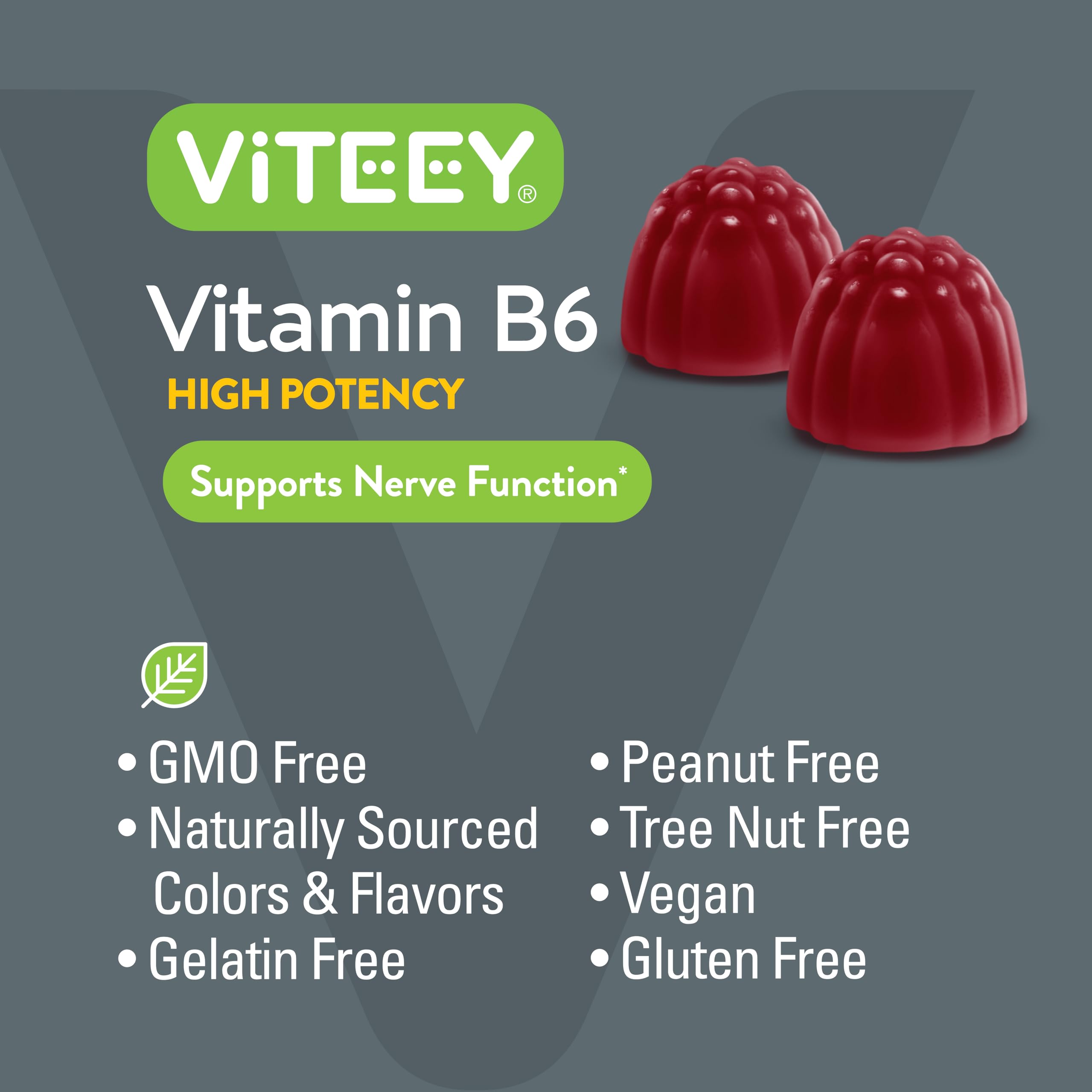 Viteey Vitamin B6 Gummies 120-count package ideal for daily use.