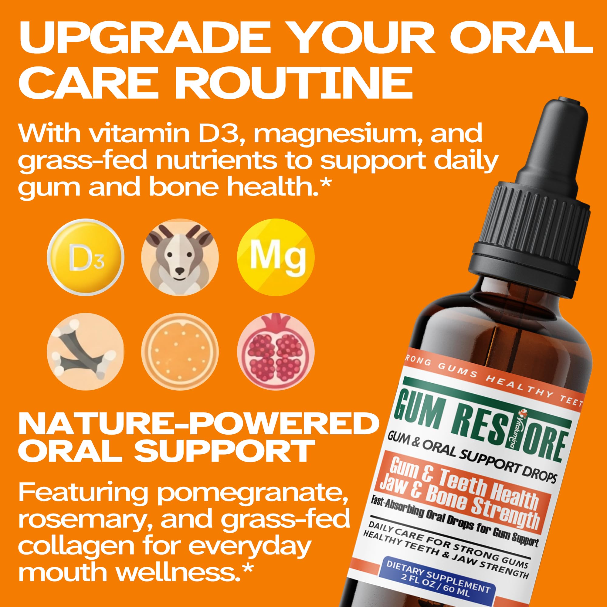 Herbal, alcohol-free VitaLumina Gum Restore Drops formula supports everyday gum care with gentle ingredients.