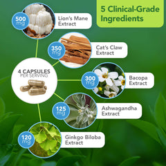 Vital Plan Brain Boost Cat's Claw ingredient visual for resilience and mood support ideas