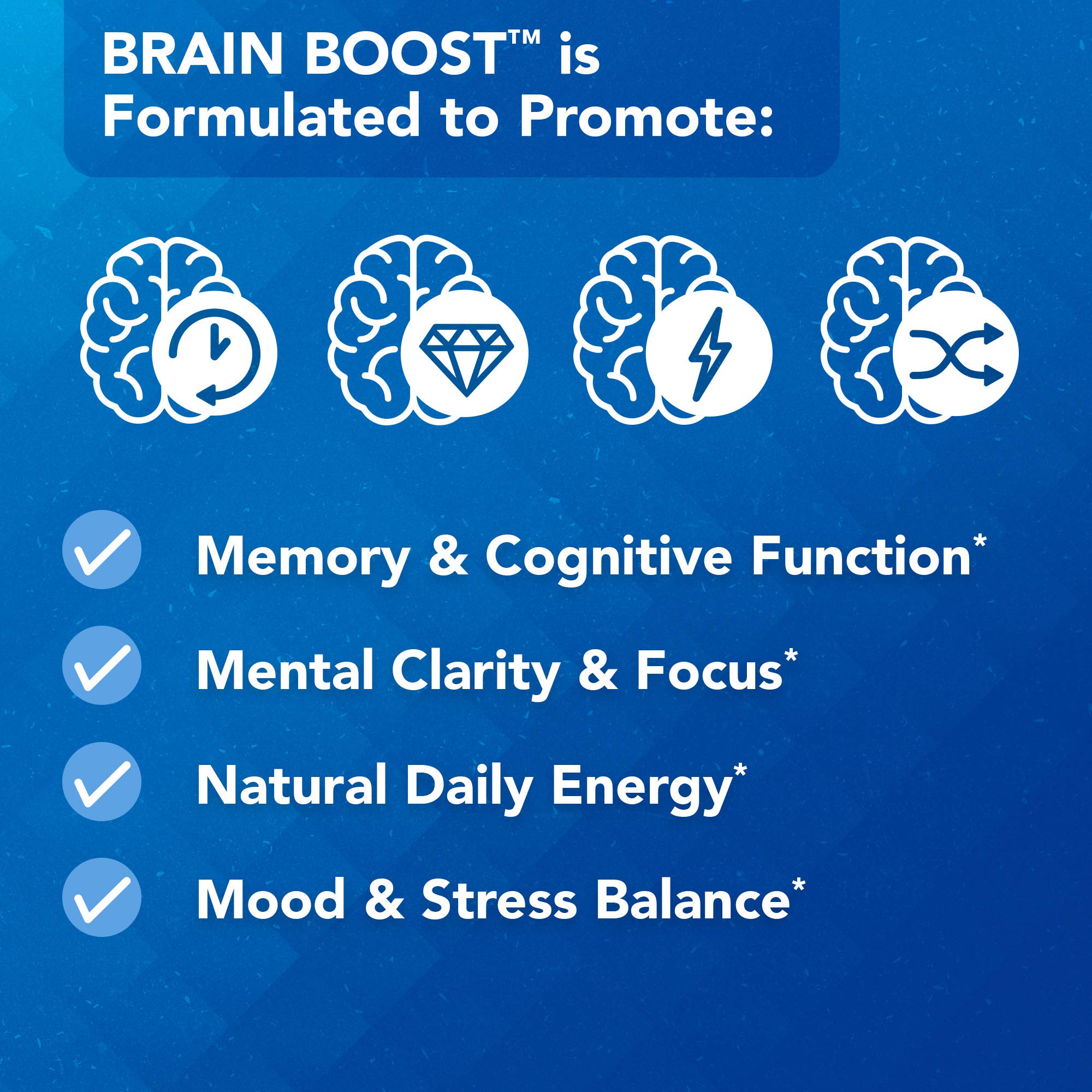 Vital Plan Brain Boost Ginkgo Biloba ingredient visual emphasizing circulation and alertness