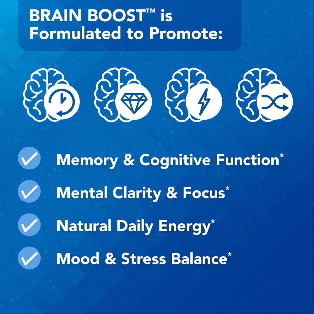 Vital Plan Brain Boost Ginkgo Biloba ingredient visual emphasizing circulation and alertness