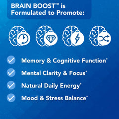 Vital Plan Brain Boost Ginkgo Biloba ingredient visual emphasizing circulation and alertness