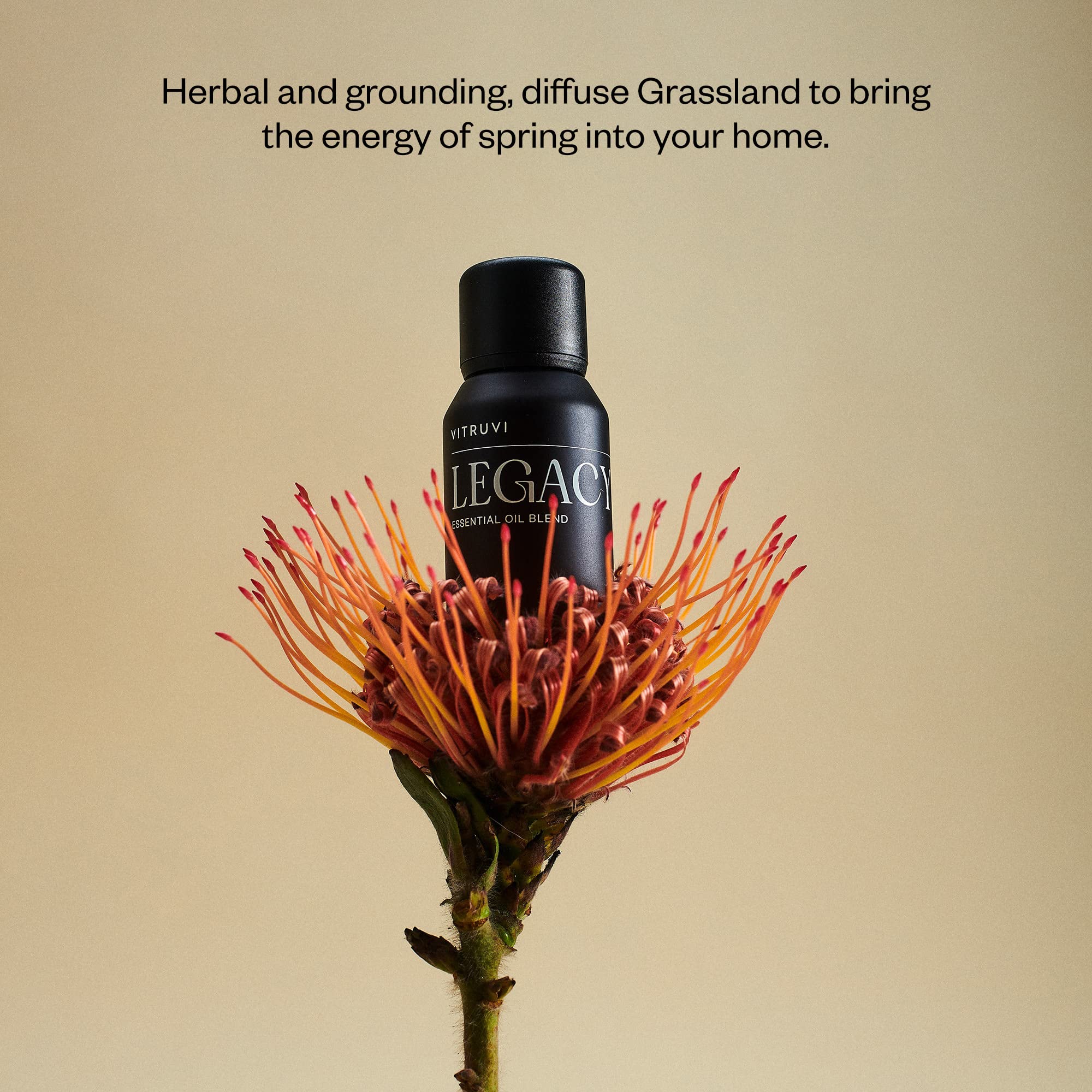 Vitruvi Legacy Woodsy bottle shows rose-bergamot-frankincense-cedarwood notes for home use.